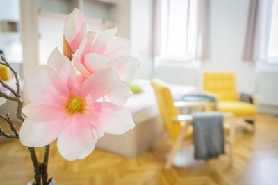 Flat rent Brno - flat number 11